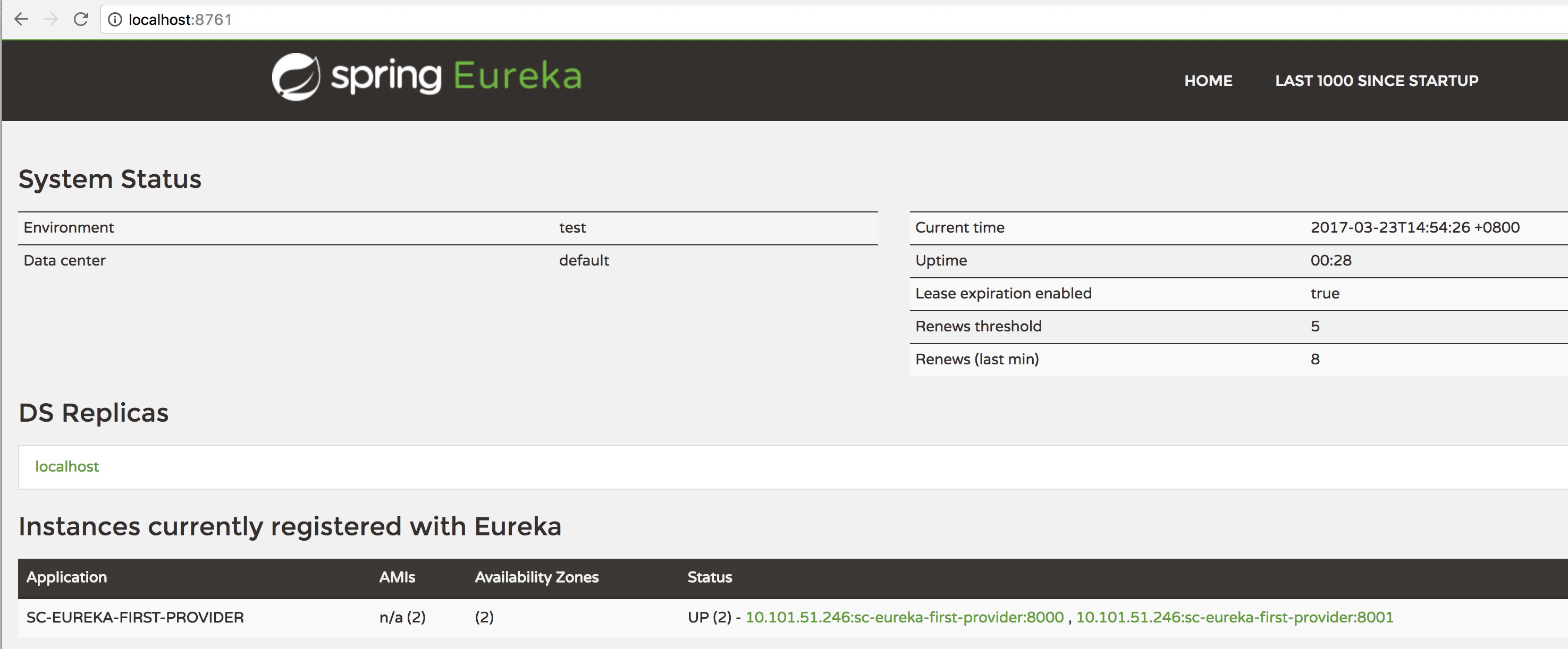 Eureka Server